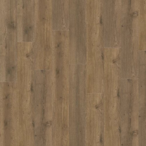 SPC ламинат Adelar MAJOR OAK 05855 (6мм) коричневый 6 мм купить в СПб ...
